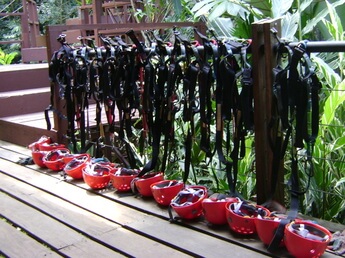 A Canopy Zip-line Tour in Costa Rica