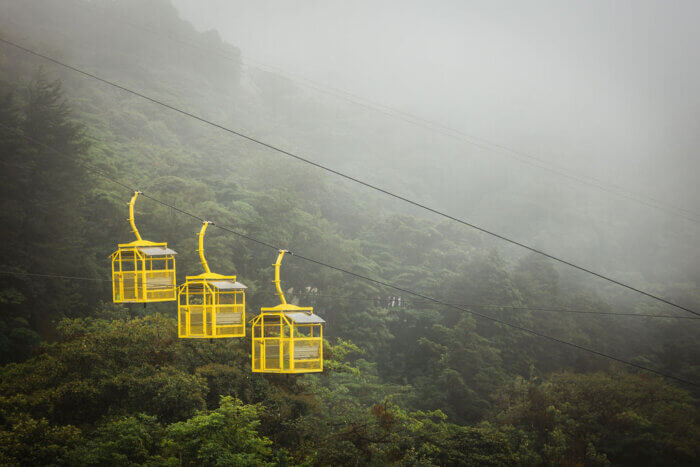 three yellow goldolas above green forest