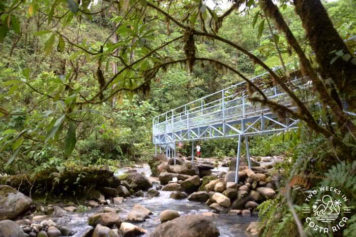 Bridge Blue Falls