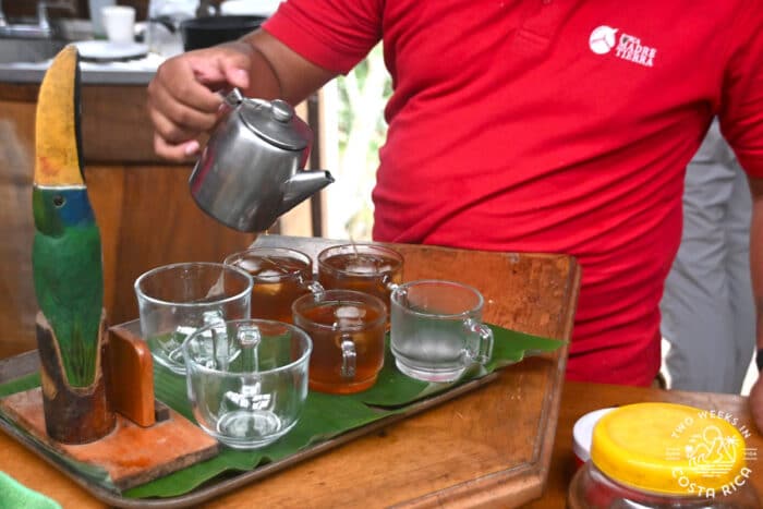 Person pouring a light-brown liquid into clear mugs