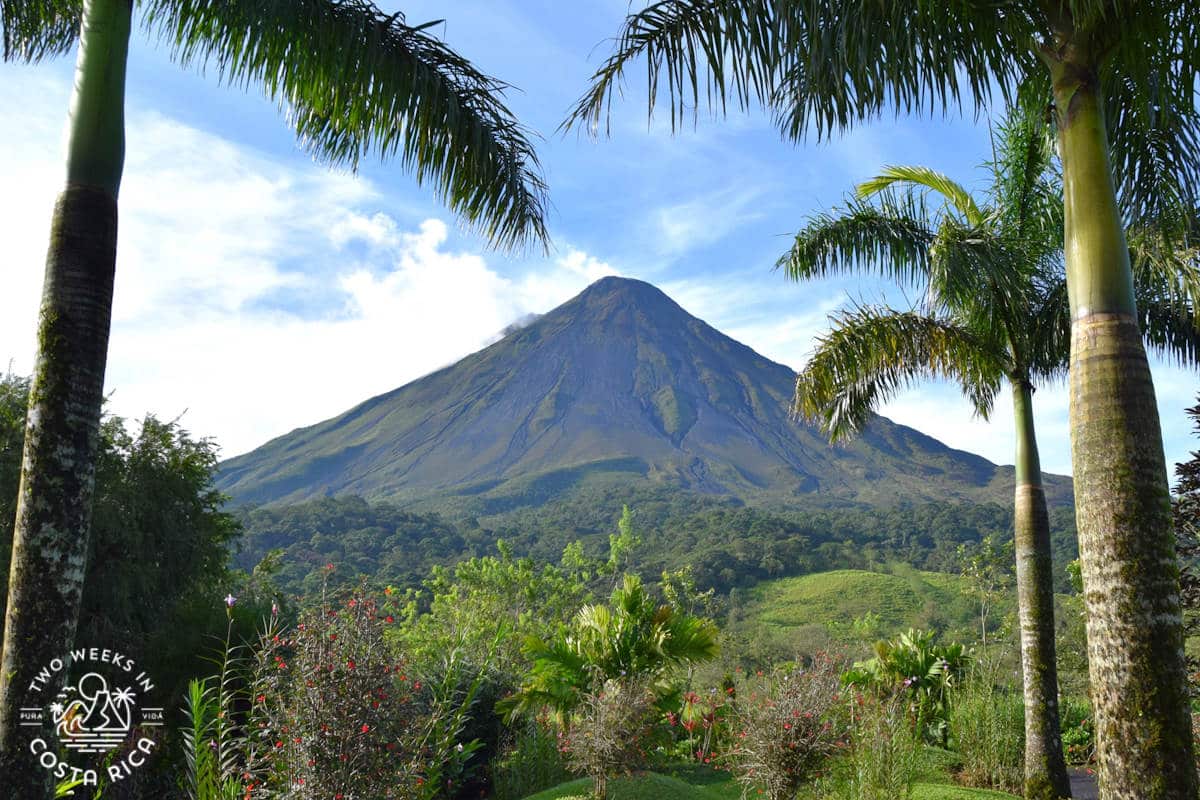 arenal volcano with palm trees in the front