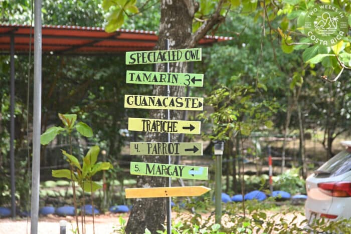 Colorful homemade signs with animal species names on them