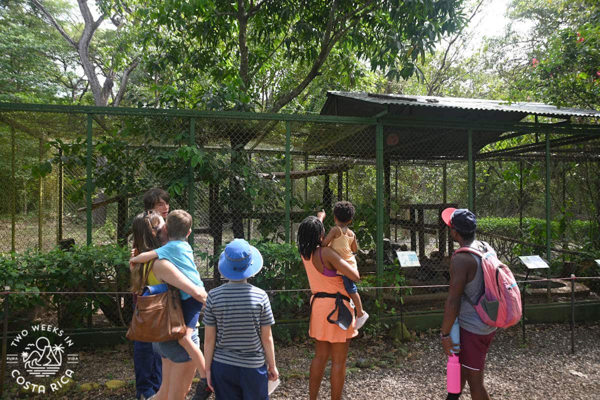 a group of people with a tour guide looking in cages with animals