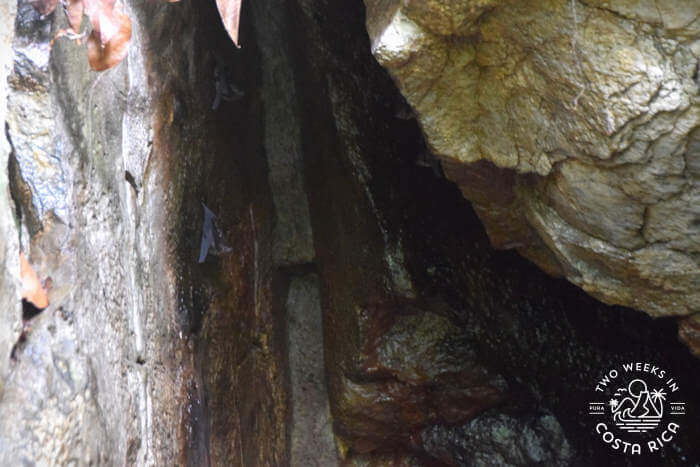 Bat Cave