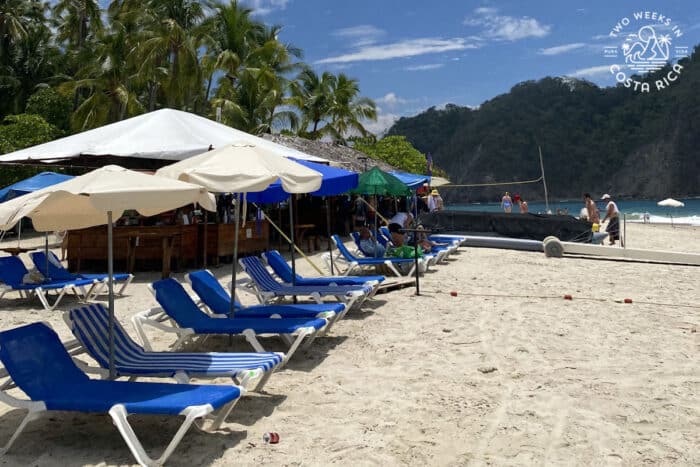 a row of beach chairs