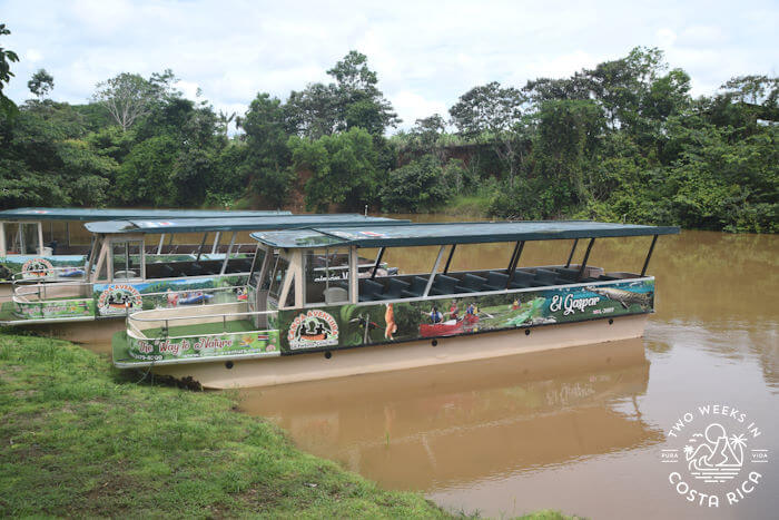 Pontoon boats pulled up to the shore along a brown waterway 