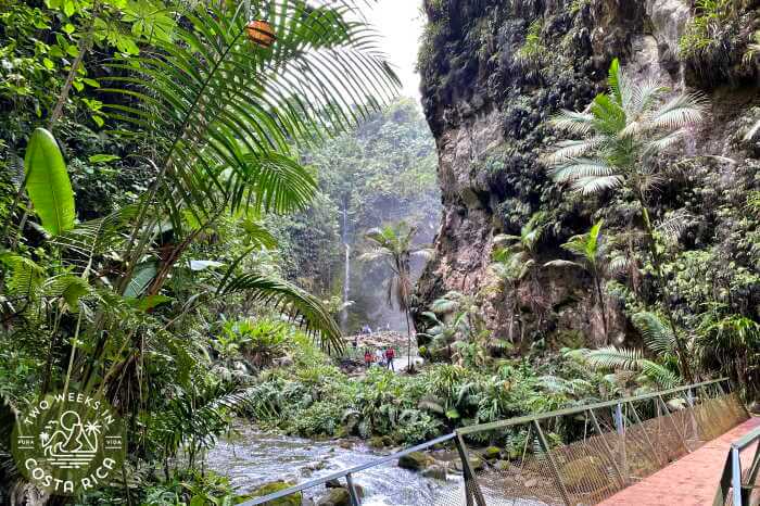 Rio Agria Canyon