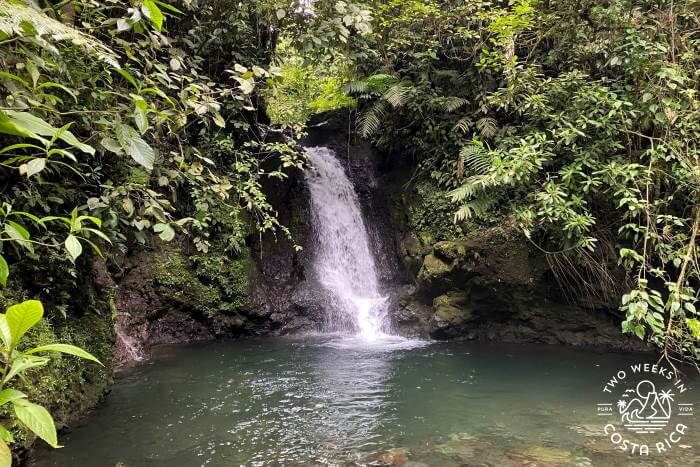 Cascada Capuchino