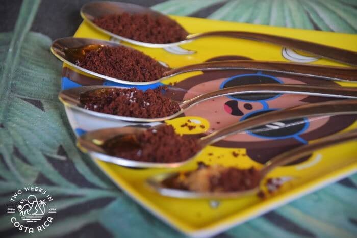 Chocolate Tasting