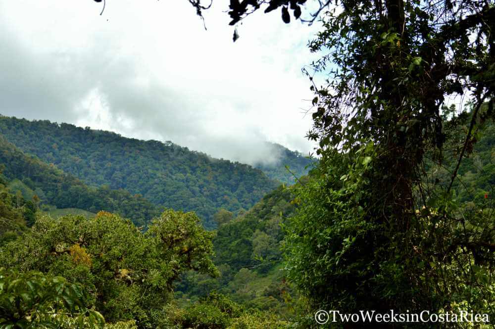 Cloud Forest Views in San Gerardo de Dota
