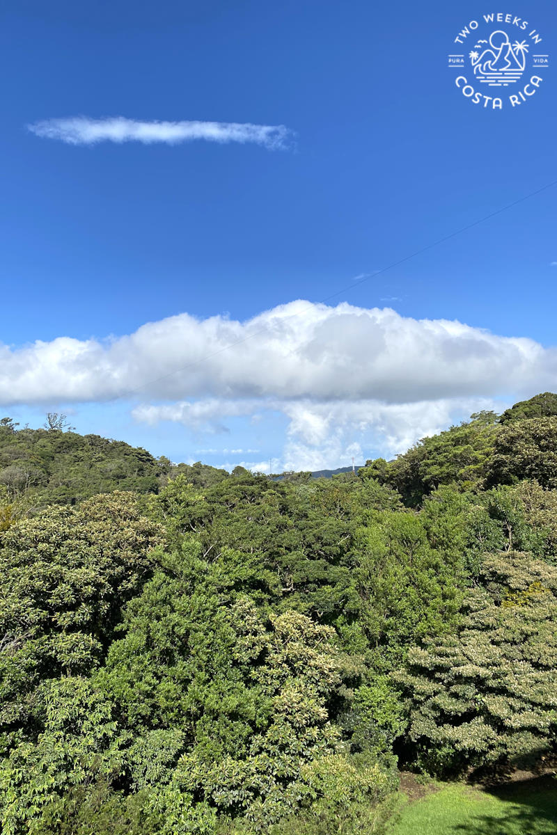 views of the cloud forest with blue sky from cloud forest lodge