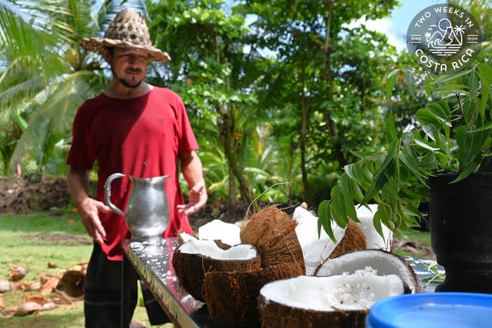 Coco Time tour Uvita costa rica