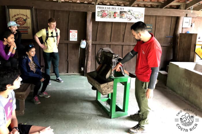 a guide explaining how coffee cherries are shelled