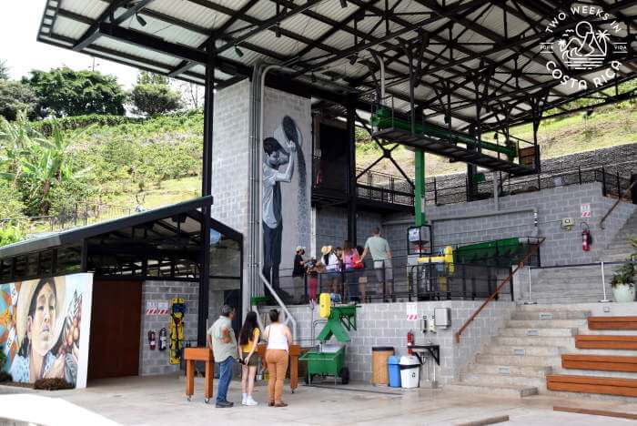 Coffee Processing