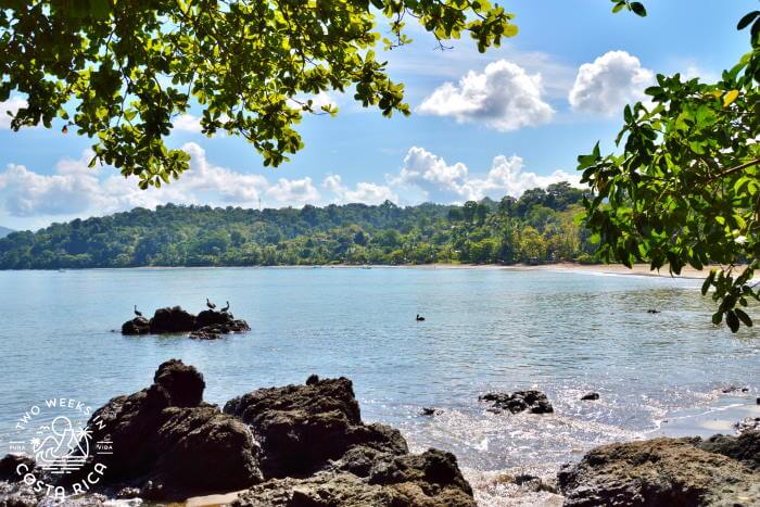 Bahia Drake