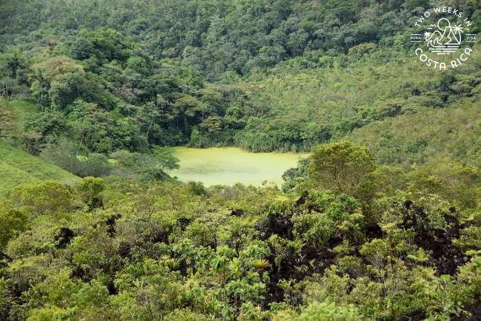 Green Lagoon View
