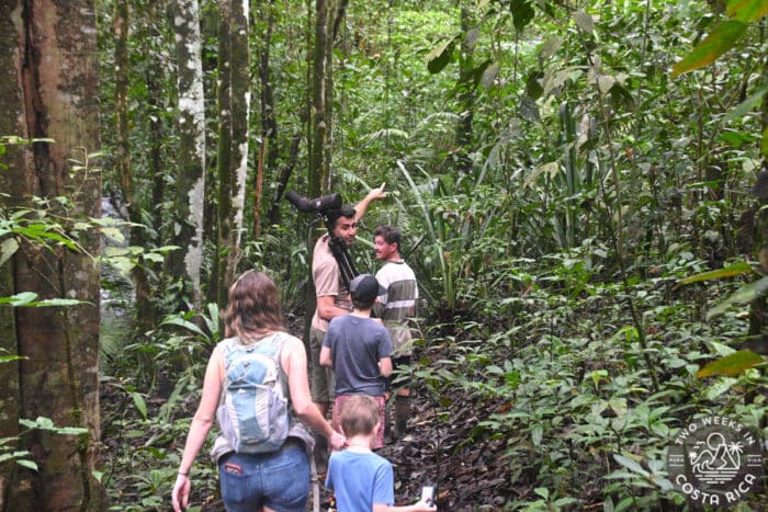 people walking on a trail through the forest