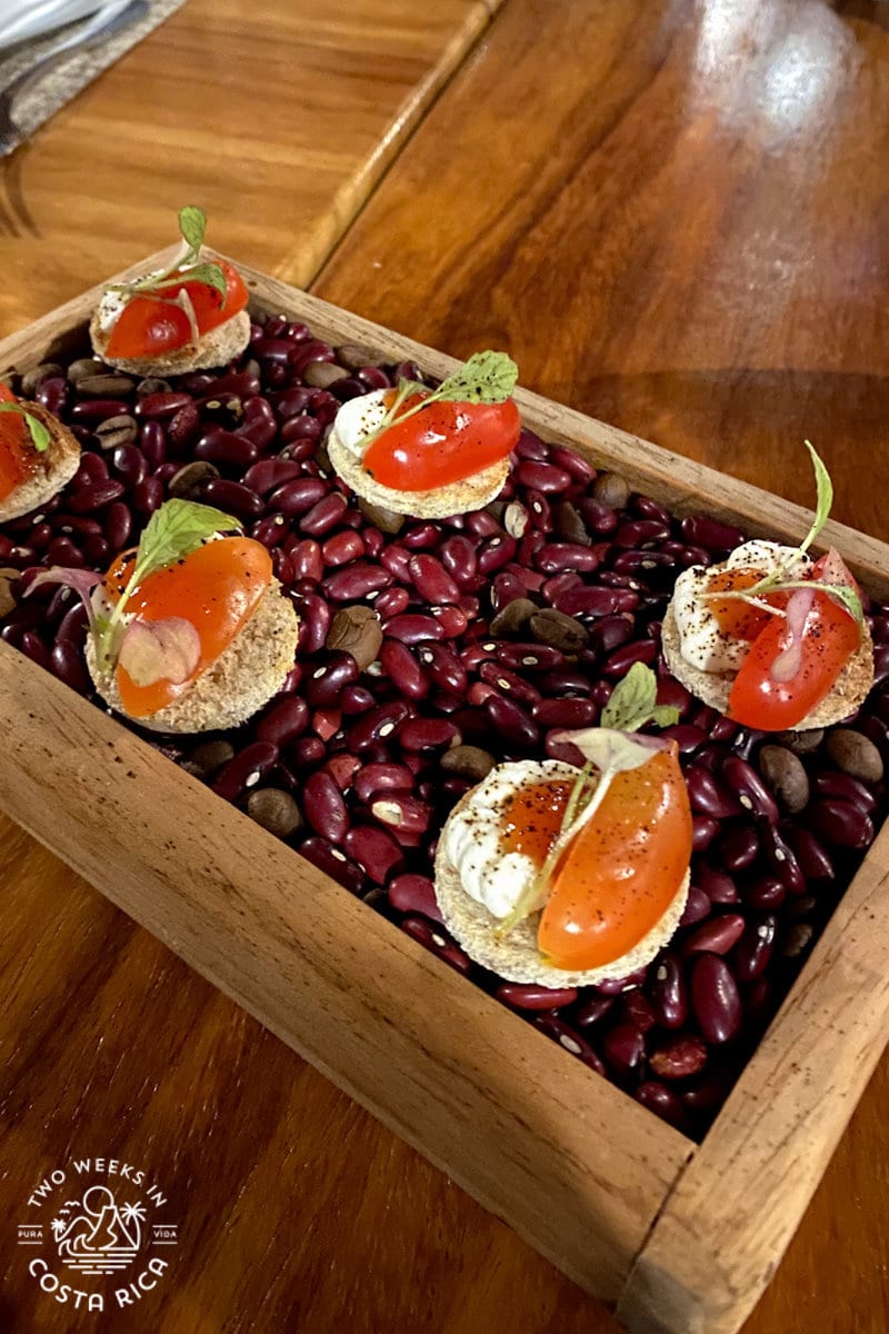 fancy appetizer at endemica restaurant in monteverde costa rica