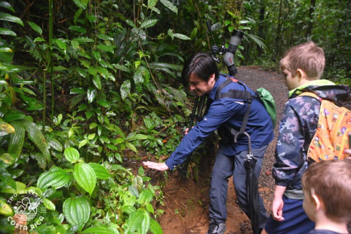 Naturalist guide pointing to the ground with two kids watching