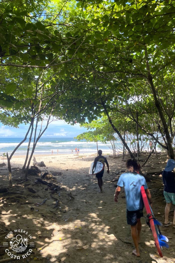 people walking onto the beach holding surf boards