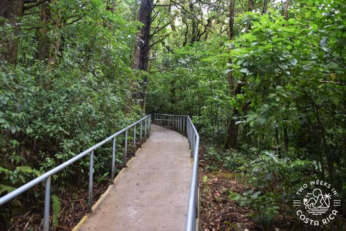 Concrete Trail