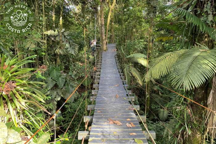Hanging Bridge