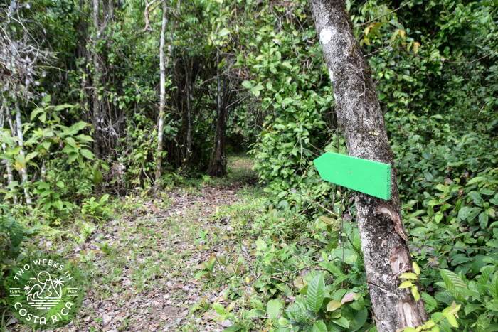 Hiking Trail