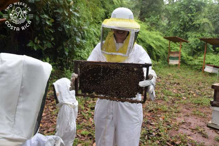 Holding a Bee Hive