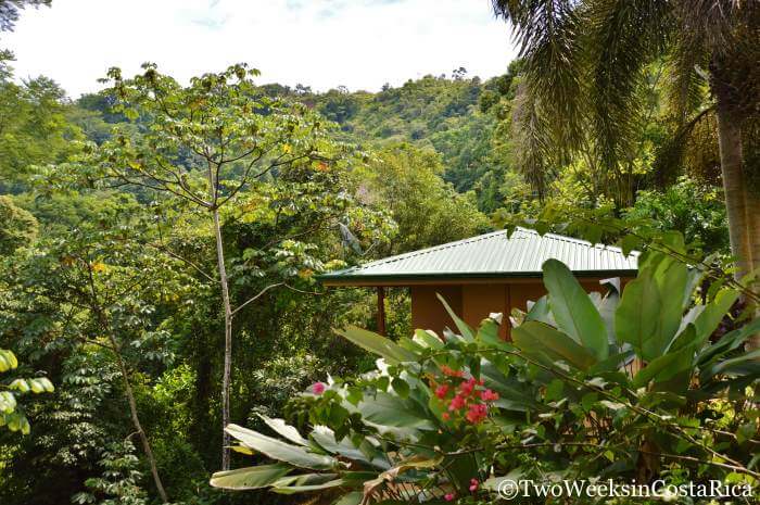 Casita in Costa Rica Jungle 