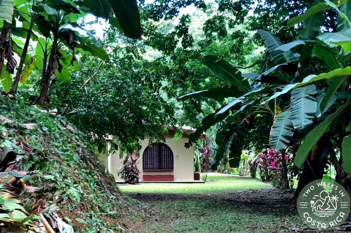Casa Costa Rica