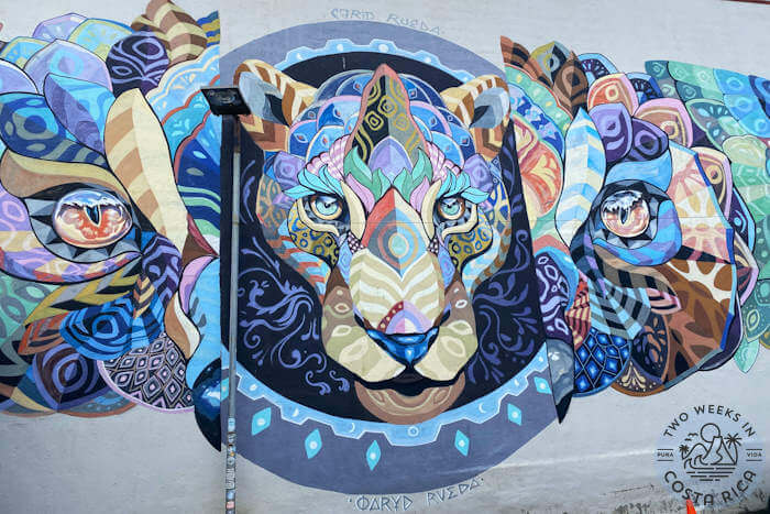Mural seen near Mas Por Menos grocery store on the Jaco Street Art Tour