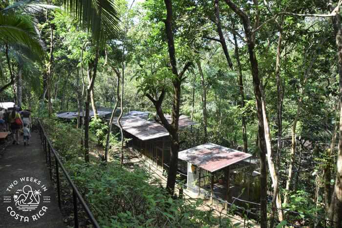 Wildlife Sanctuary