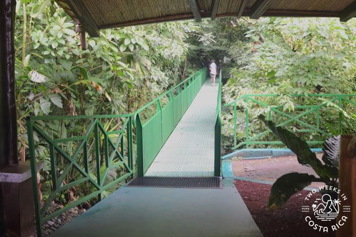 A sturdy metal bridge leading to the viewpoint