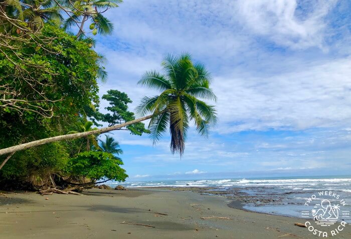 Living in Costa Rica 7 Year Update
