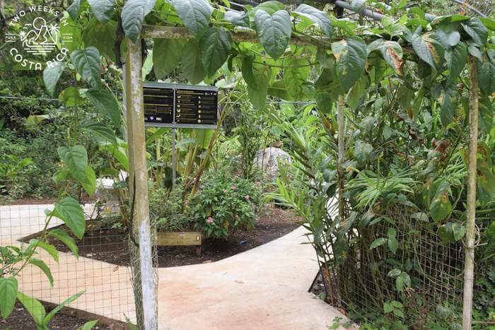 Gardens Madre Verde