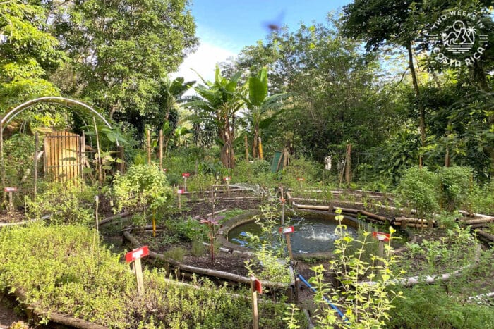 A large garden surrounding a fountain