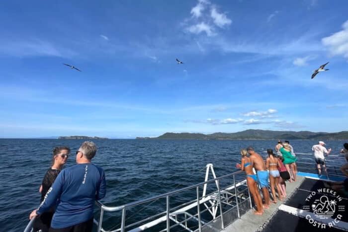Front of catamaran boat with people looking out at ocean