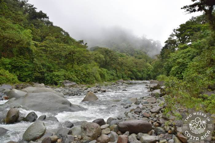 River in Tapanti