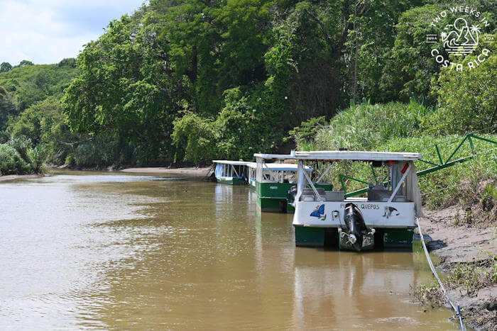 Boat Tour Tarcoles