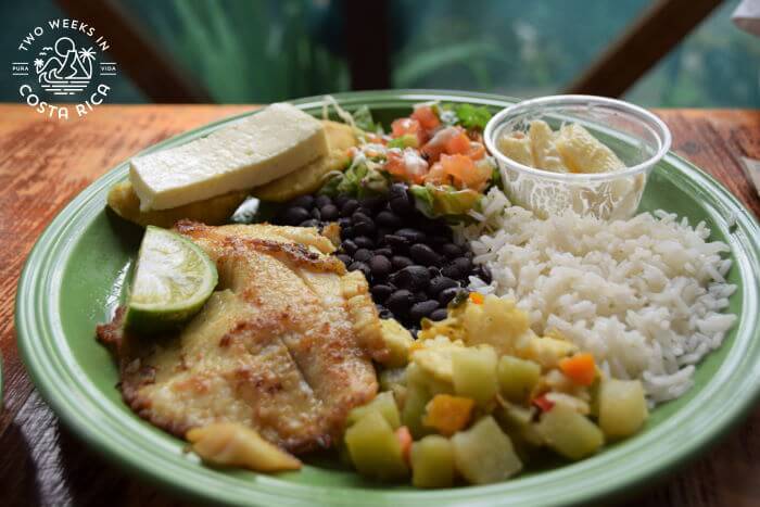 local plate of rice and beans with many sides