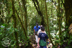 Guided Tour Santa Elena Reserve