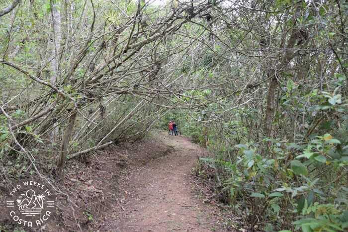Coyote Trail