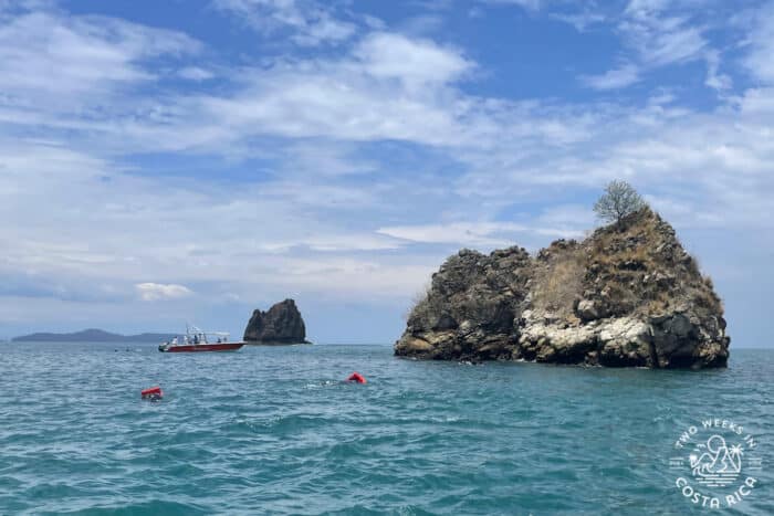 people snorkeling around an island and rocks