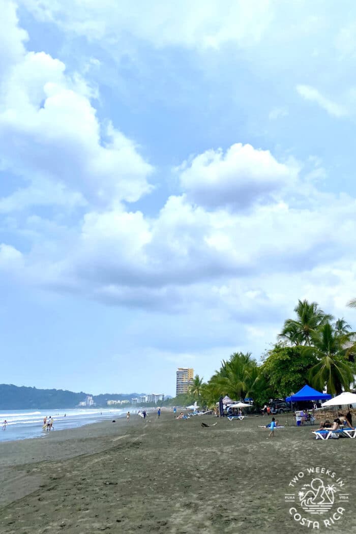 a dark sand beach with palm trees and a tall building