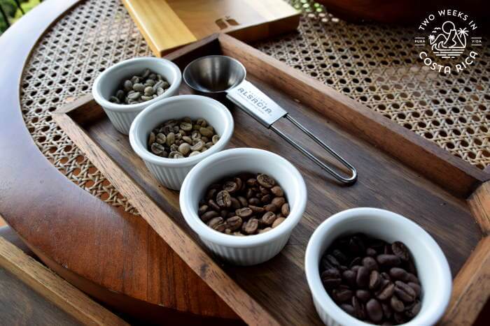 Roasted Beans