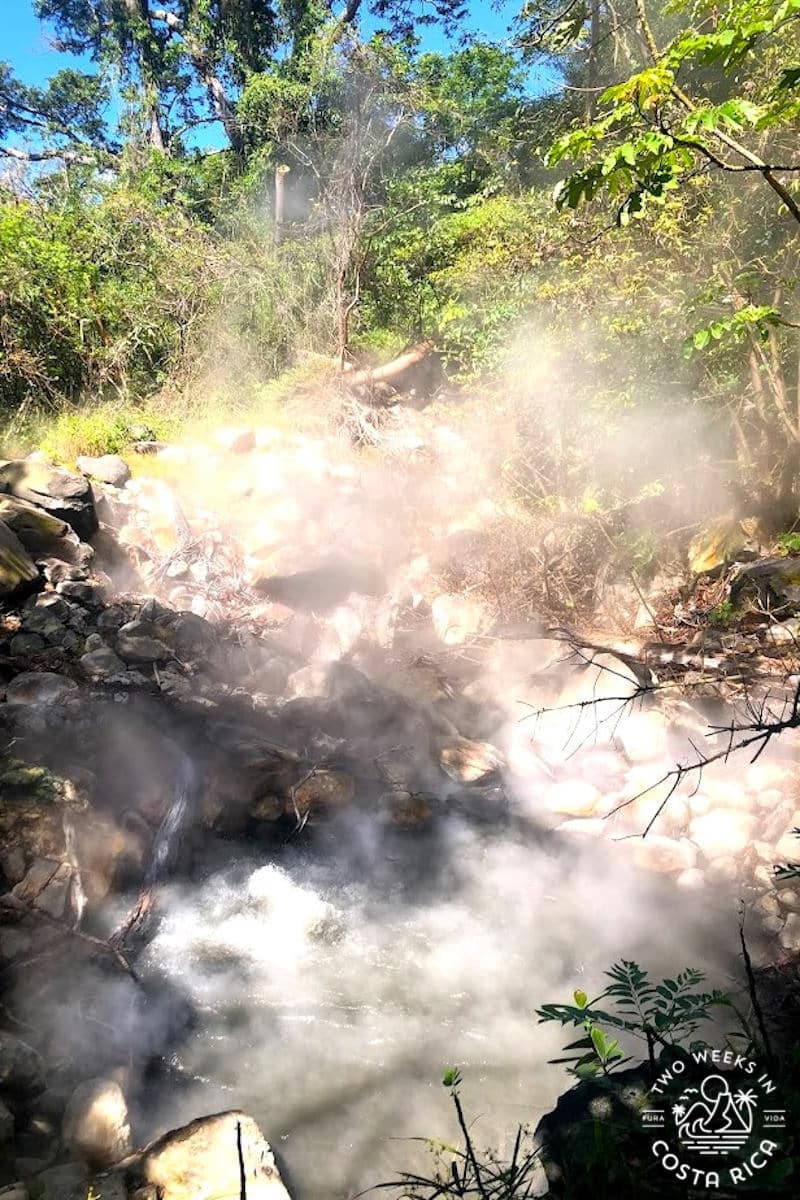 steam rising from a small pool of water with rocks around it