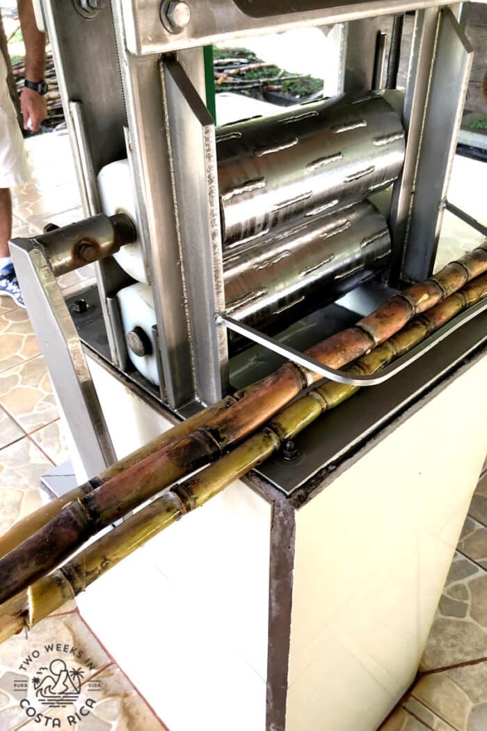 a sugar cane grinder