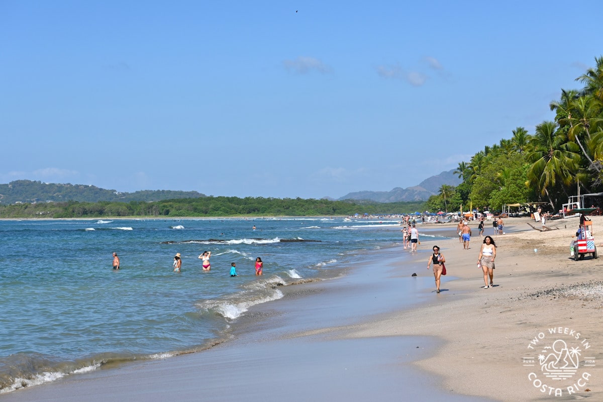 people walking and swimming on a beach