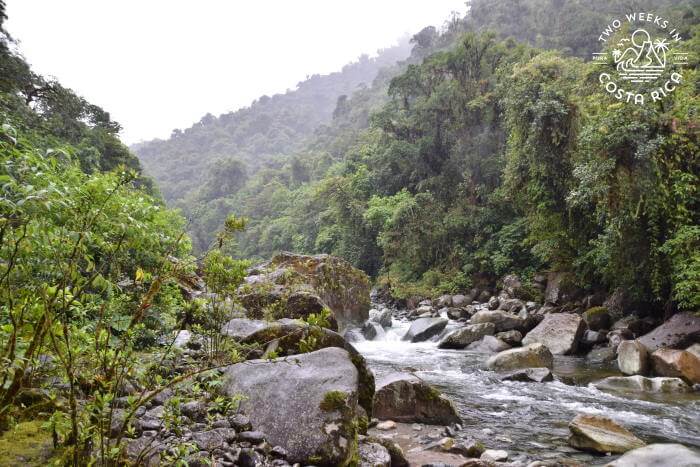 River and lush scenery at Tapanti National Park