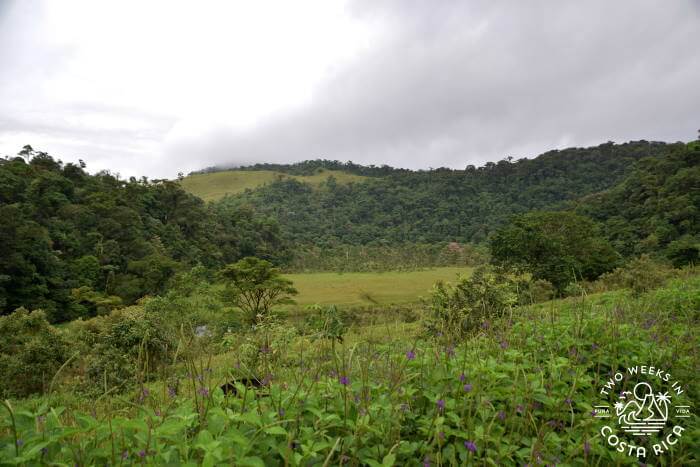 View Tapir Valley